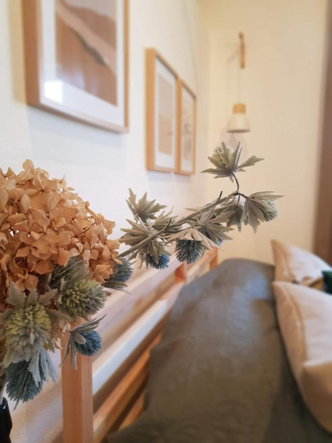 Quintinha Do Sal - Casa Das Flores Alcácer do Sal Exteriör bild